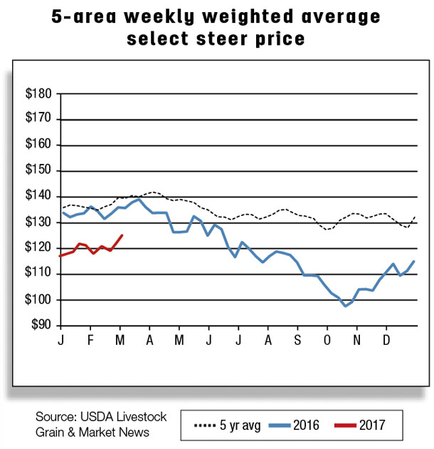 5 area weekly weighted average select steer price
