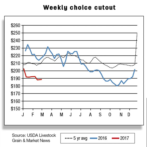 weekly choice cutout