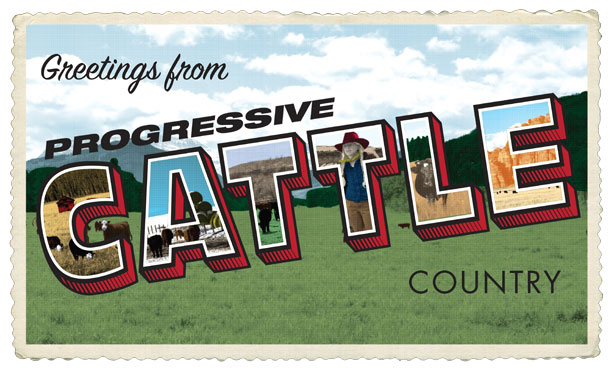 cattle country