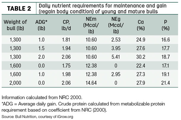 Dairy nutrient requirements for maintenance and gain