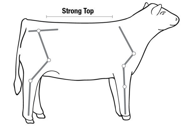 evaluating topline