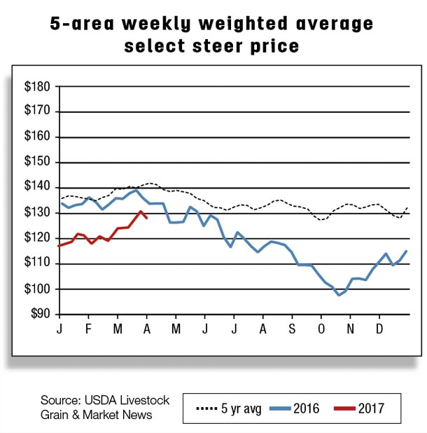 5 area weekly weighted average select steer price