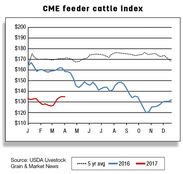 CME feeder cattle index