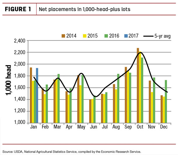 Net placements in 1,000 head plus lots