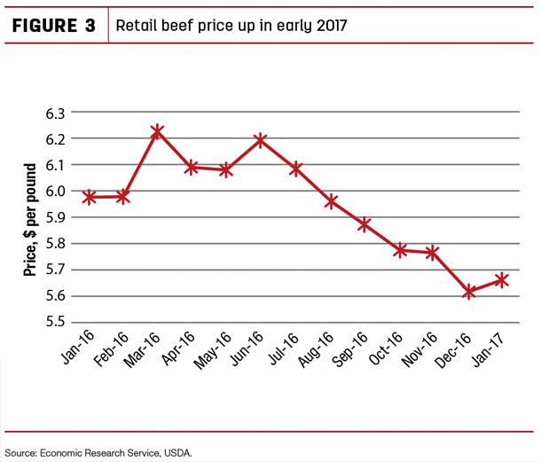 Retail beef price up in early 2017