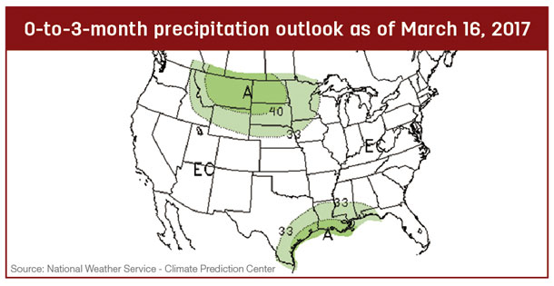 precip outlook