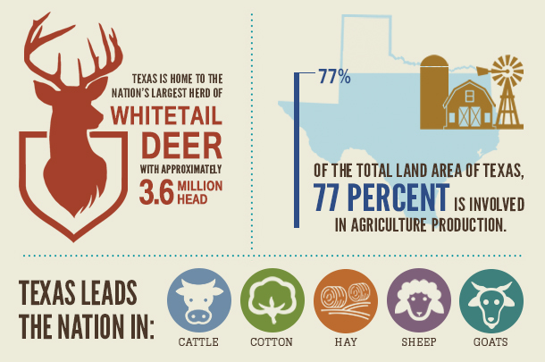 jordan texas facts