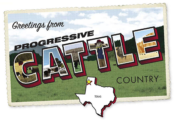 Cattle Country