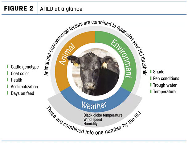 AHLU at a glance