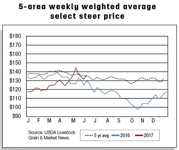 5 area weekly weighted average select steer price