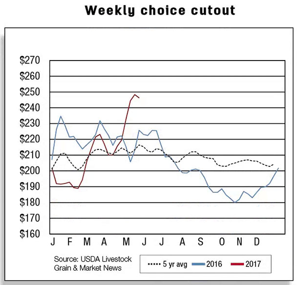 Weekly choice cutout