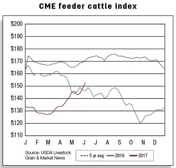 CME feeder cattle index