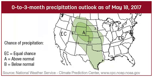 roundup precipitation map