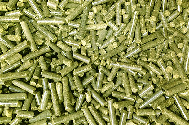 pellets