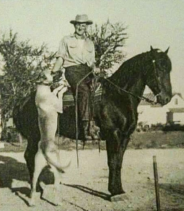 Bill Ramsey on horse