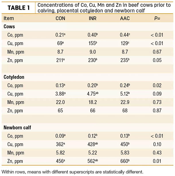 Concentrations of Co, Cu, MN and Zn in beef cows prior to calving