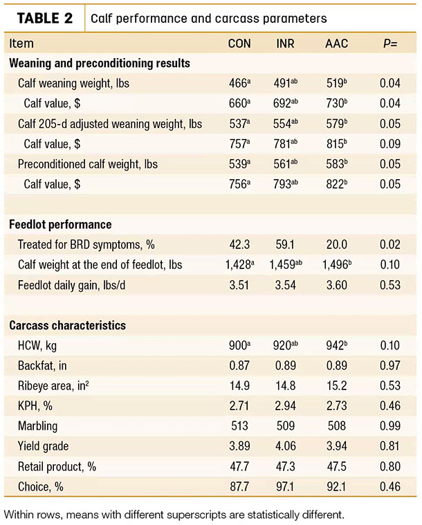 Calf performance and carcass parameters