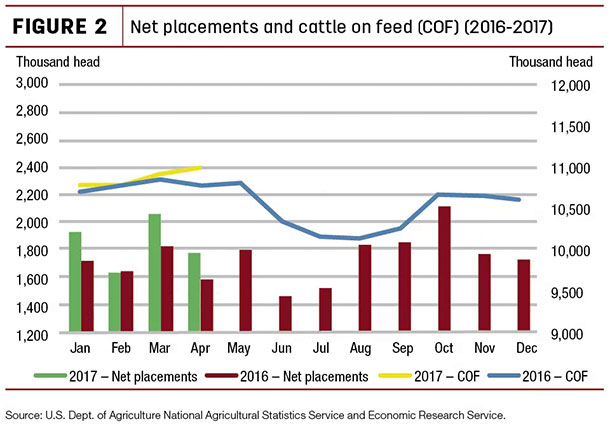 Net placements and cattle on feed