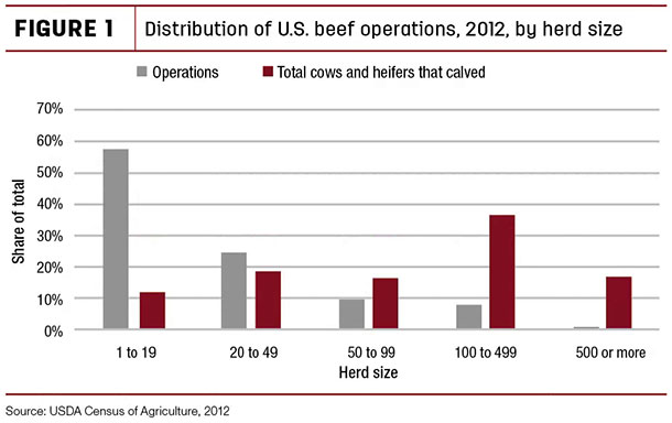 Distribution of U.S. beef operations, 2012, by herd size