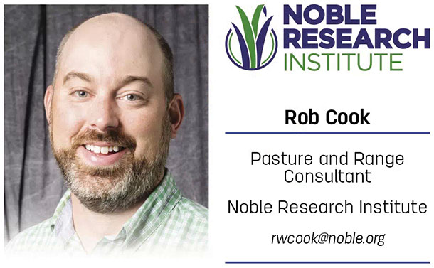 Rob Cook