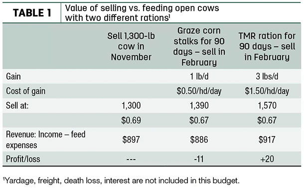 Value of selling vs. feeding open cows with two different rations