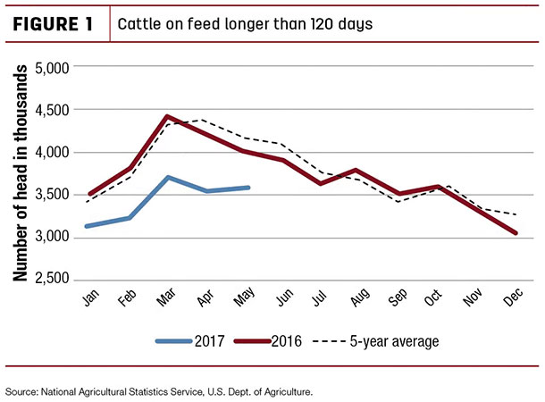 Cattle on feed longer than 120 days