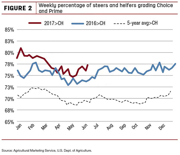 weekly percentage of steers and heifers grading Choice and Prime