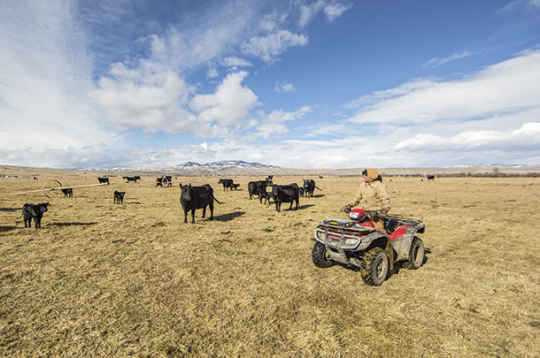Landsay Siedensticker, Giem Ranch, Montana