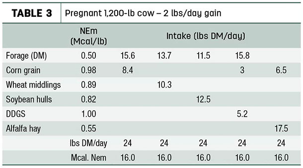 Pregnant 1,200 cows - 2 lbs/day gain