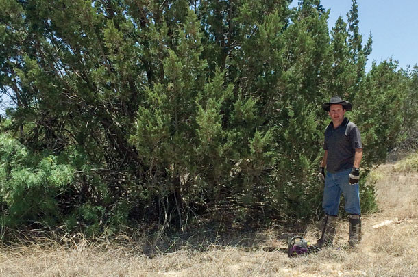Travis Whitney with Juniper tree