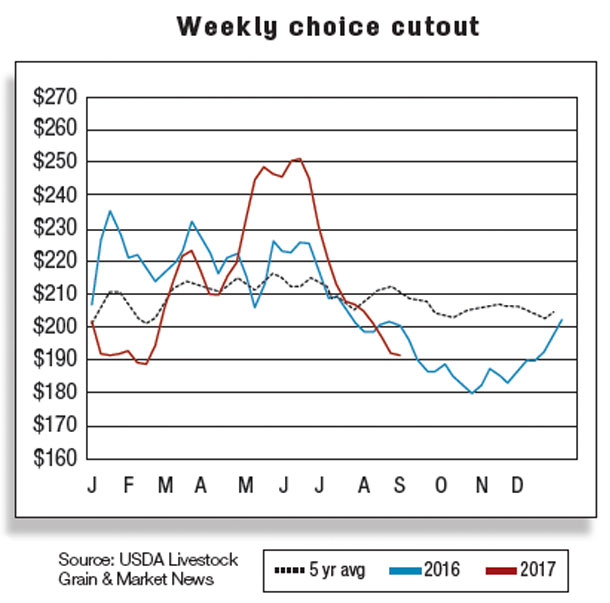 Weekly choice cutout