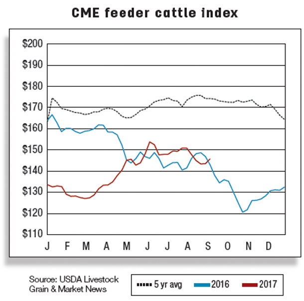 CME feeder cattle index