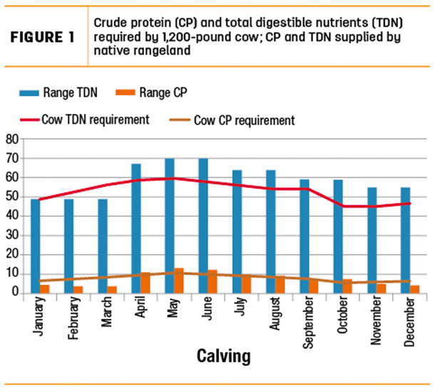 Crude protein and total digestible nutrients