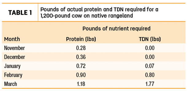 Pounds of actual protein and TDN required for a 1,200 pound cow