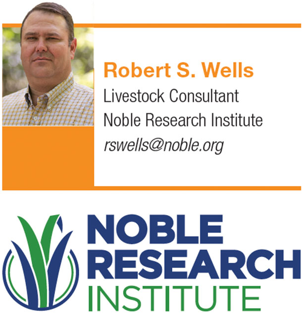 wells robert