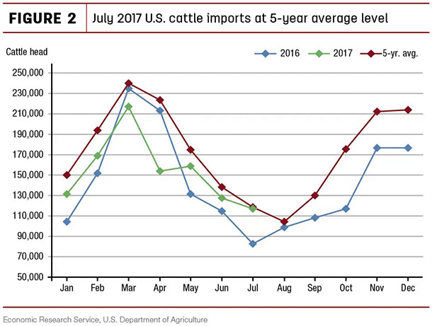 July 2017 U.S. cattle imports 