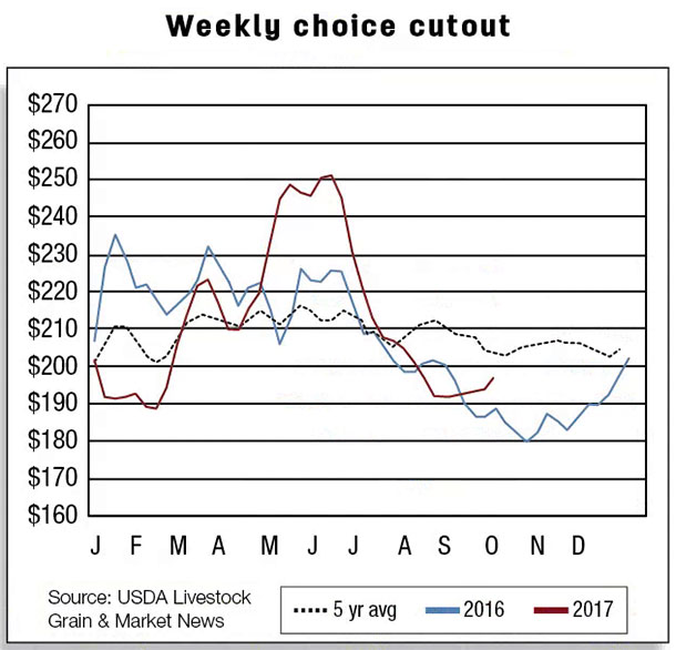 Weekly choice cutout
