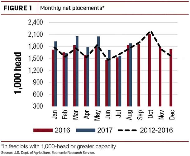 Monthly net placements