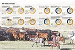 1217pc poll