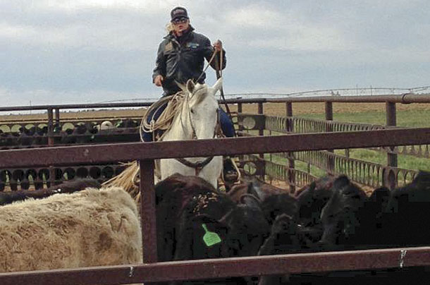 Mallory Vestal rides in preparation for turning out yearlings