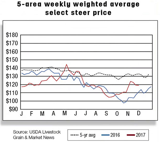 5 area weekly weighted average select steer price