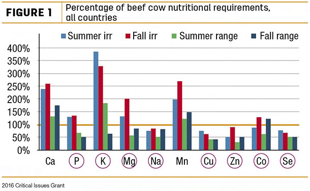 Percentage of beef cow nutritional requirements all countries
