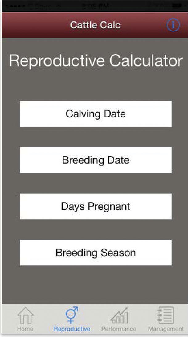Cattle Calc