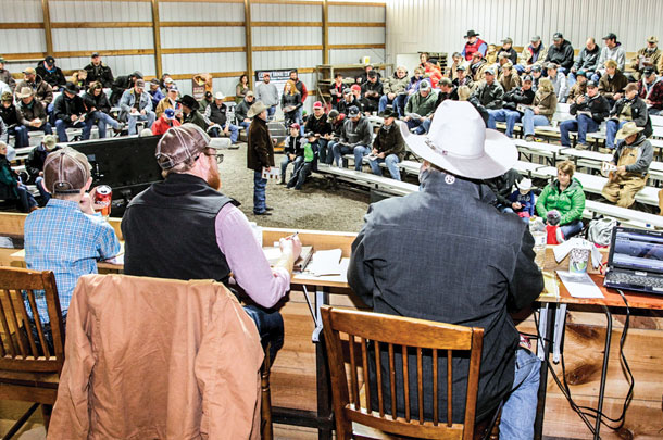 Sale block from the Huelle Cattle Company sale in Cozad Nebraska