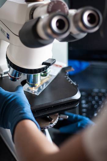 biomed diagnostics observe