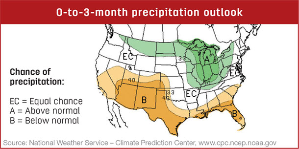 precip map