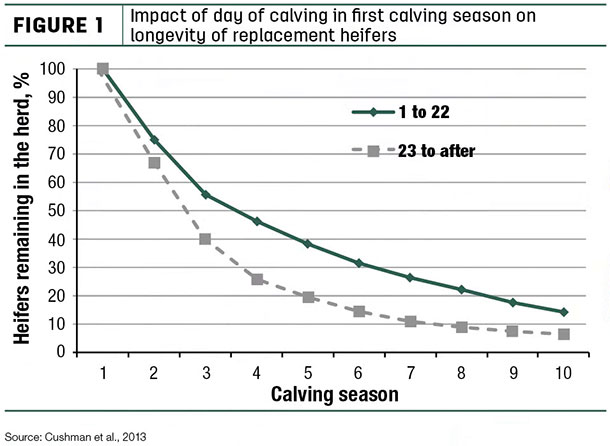 Impact of day of calving in first calving season