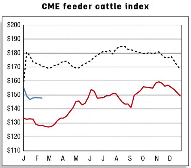 CME feeder cattle index