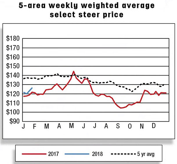 5 area weekly weighted average select steer price