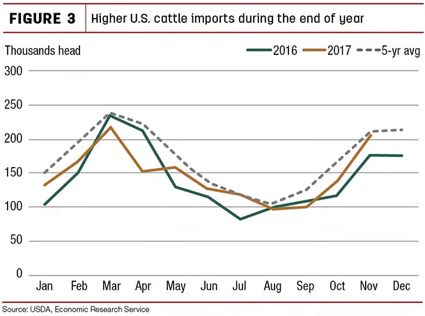 Higher U.S. cattle imports during the end of year